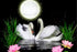Full Moon & Swans Pair Diamond Painting